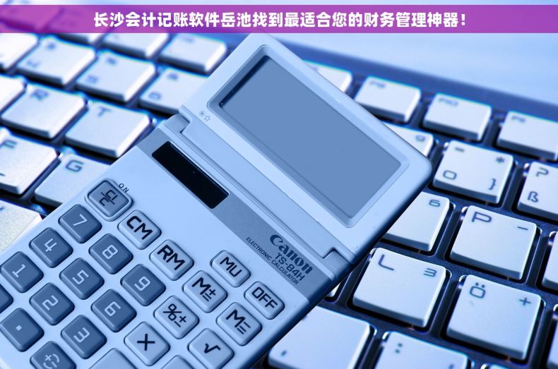 长沙会计记账软件岳池找到最适合您的财务管理神器！