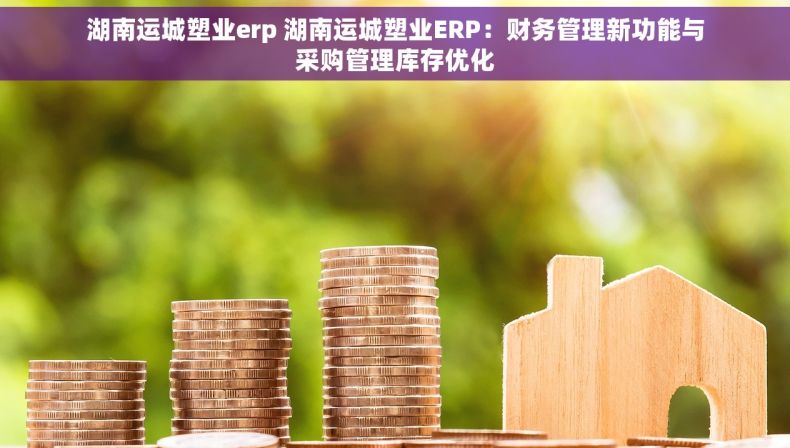 湖南运城塑业erp 湖南运城塑业ERP：财务管理新功能与采购管理库存优化