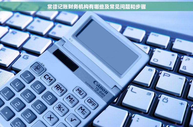 常德记账财务机构有哪些及常见问题和步骤