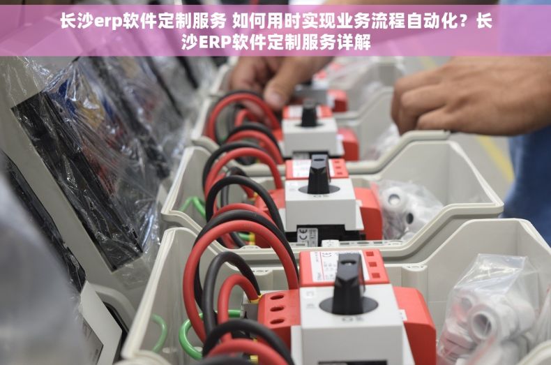 长沙erp软件定制服务 如何用时实现业务流程自动化？长沙ERP软件定制服务详解