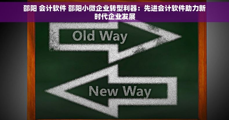 邵阳 会计软件 邵阳小微企业转型利器：先进会计软件助力新时代企业发展