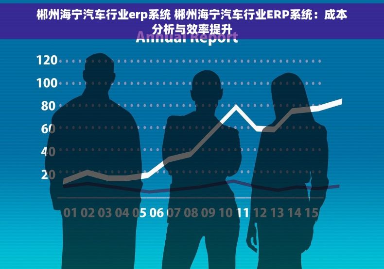 郴州海宁汽车行业erp系统 郴州海宁汽车行业ERP系统：成本分析与效率提升