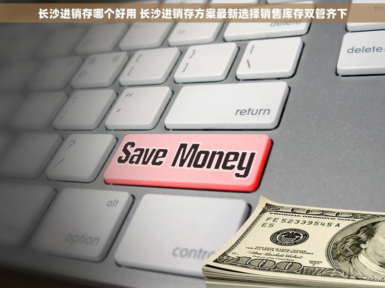 长沙进销存哪个好用 长沙进销存方案最新选择销售库存双管齐下