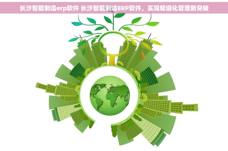 长沙智能制造erp软件 长沙智能制造ERP软件，实现精细化管理新突破
