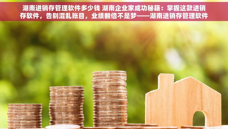 湖南进销存管理软件多少钱 湖南企业家成功秘籍：掌握这款进销存软件，告别混乱账目，业绩翻倍不是梦——湖南进销存管理软件价格揭秘