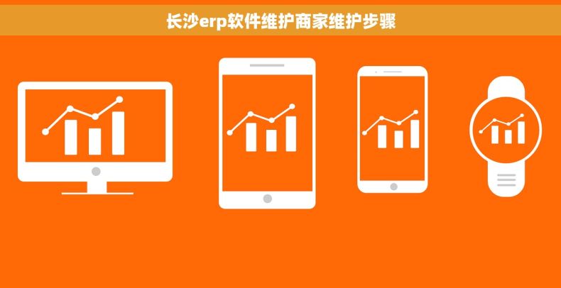 长沙erp软件维护商家维护步骤