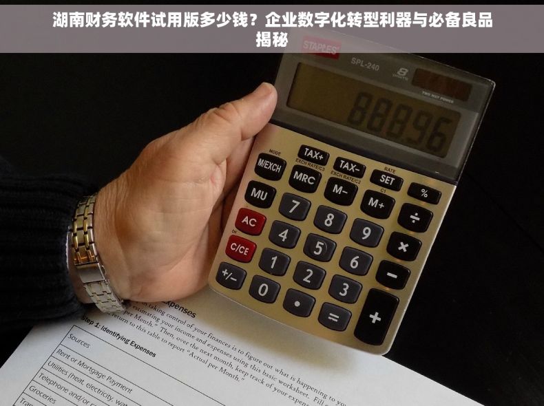 湖南财务软件试用版多少钱？企业数字化转型利器与必备良品揭秘
