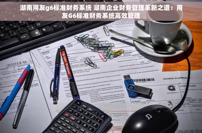 湖南用友g6标准财务系统 湖南企业财务管理革新之道：用友G6标准财务系统高效管理