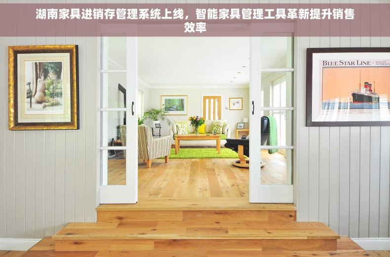 湖南家具进销存管理系统上线，智能家具管理工具革新提升销售效率