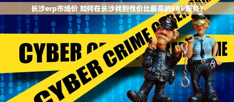 长沙erp市场价 如何在长沙找到性价比最高的ERP服务？