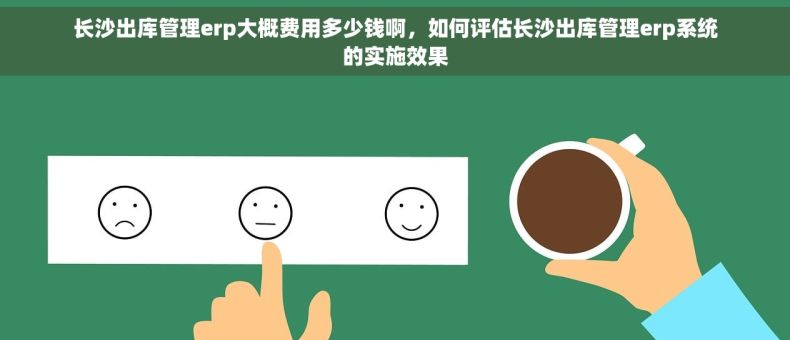 长沙出库管理erp大概费用多少钱啊，如何评估长沙出库管理erp系统的实施效果