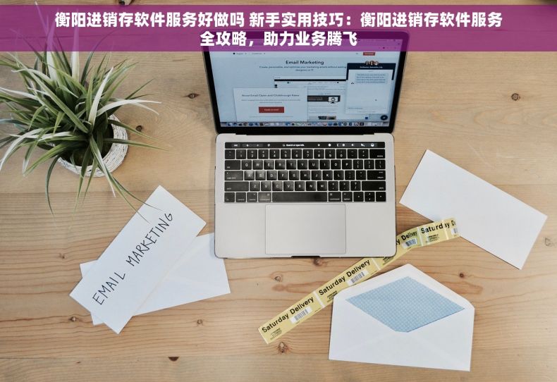 衡阳进销存软件服务好做吗 新手实用技巧：衡阳进销存软件服务全攻略，助力业务腾飞
