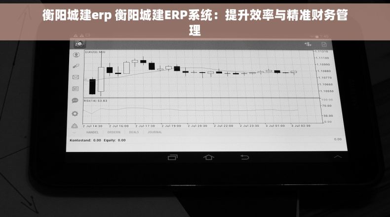 衡阳城建erp 衡阳城建ERP系统：提升效率与精准财务管理