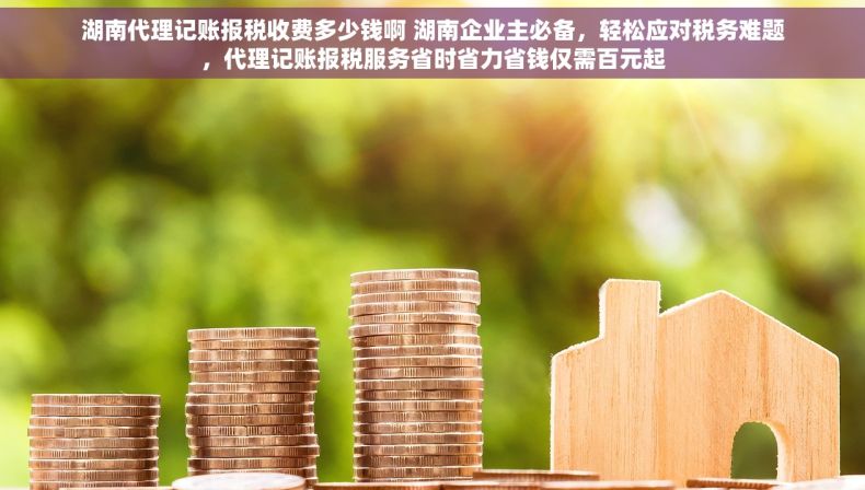 湖南代理记账报税收费多少钱啊 湖南企业主必备，轻松应对税务难题，代理记账报税服务省时省力省钱仅需百元起
