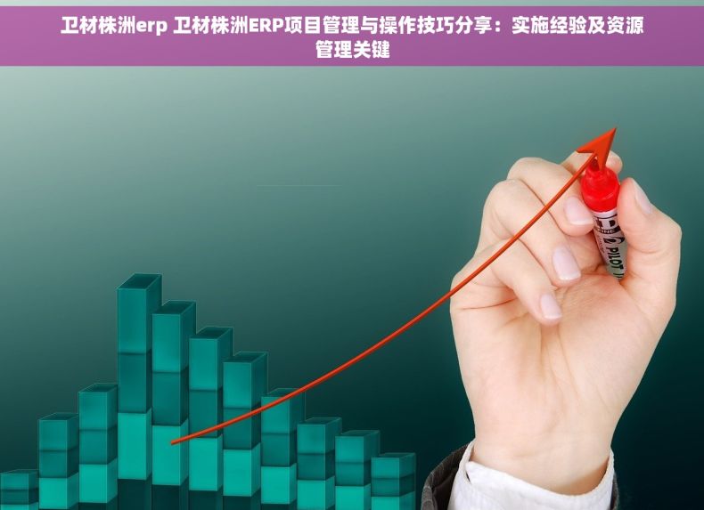 卫材株洲erp 卫材株洲ERP项目管理与操作技巧分享：实施经验及资源管理关键