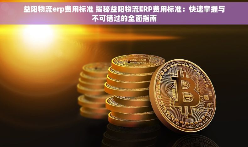 益阳物流erp费用标准 揭秘益阳物流ERP费用标准：快速掌握与不可错过的全面指南