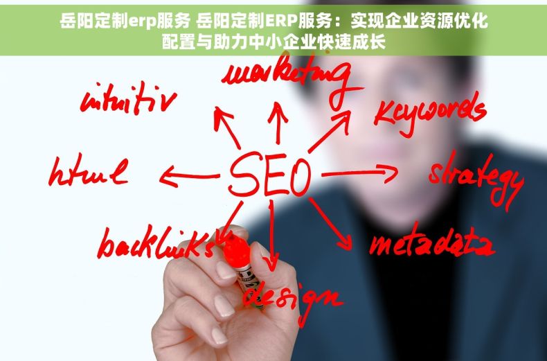 岳阳定制erp服务 岳阳定制ERP服务：实现企业资源优化配置与助力中小企业快速成长