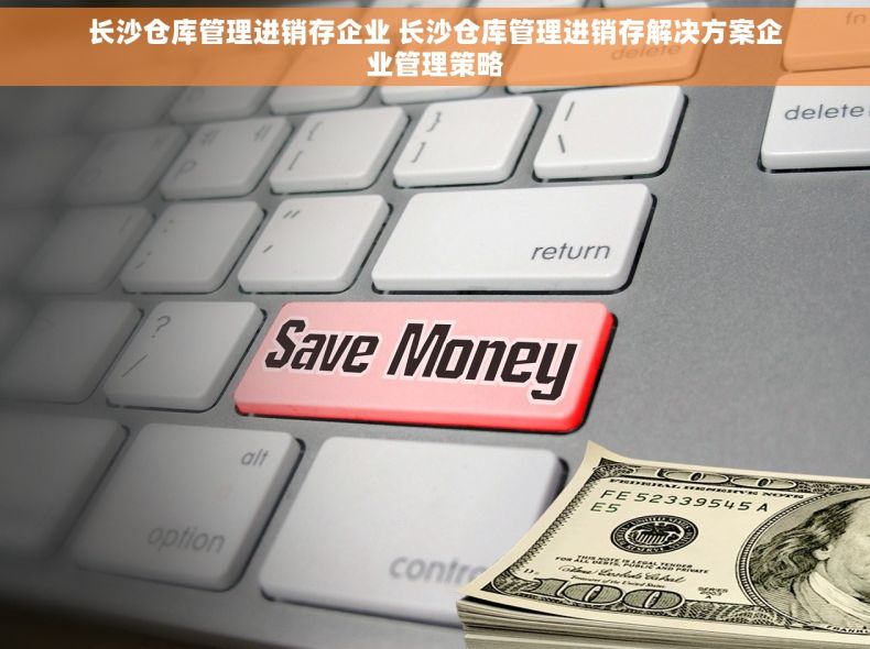 长沙仓库管理进销存企业 长沙仓库管理进销存解决方案企业管理策略