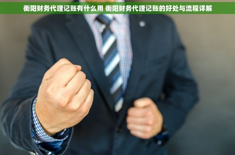 衡阳财务代理记账有什么用 衡阳财务代理记账的好处与流程详解