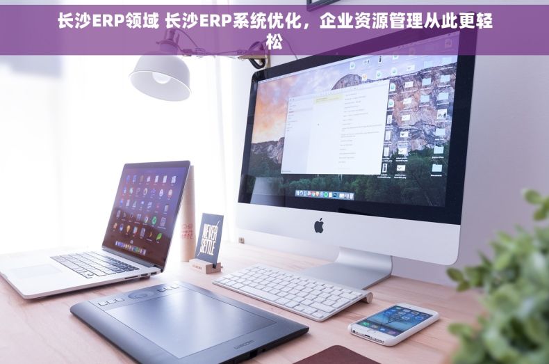 长沙ERP领域 长沙ERP系统优化，企业资源管理从此更轻松