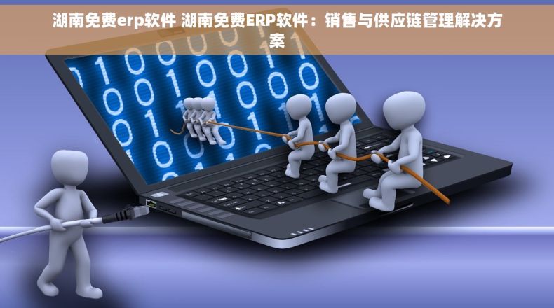 湖南免费erp软件 湖南免费ERP软件：销售与供应链管理解决方案
