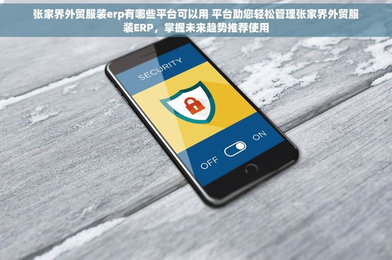 张家界外贸服装erp有哪些平台可以用 平台助您轻松管理张家界外贸服装ERP，掌握未来趋势推荐使用