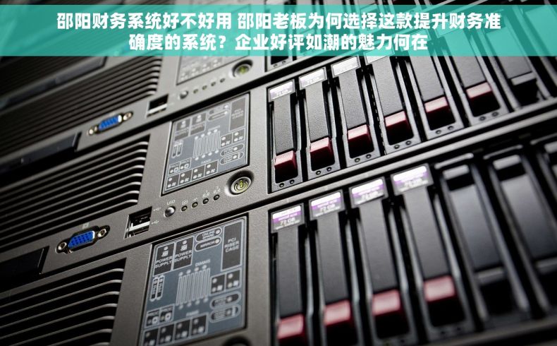 邵阳财务系统好不好用 邵阳老板为何选择这款提升财务准确度的系统？企业好评如潮的魅力何在