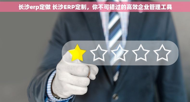 长沙erp定做 长沙ERP定制，你不可错过的高效企业管理工具
