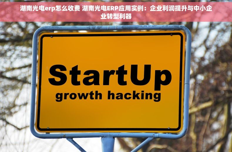 湖南光电erp怎么收费 湖南光电ERP应用实例：企业利润提升与中小企业转型利器