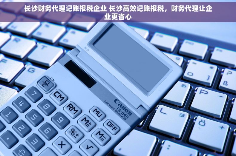 长沙财务代理记账报税企业 长沙高效记账报税，财务代理让企业更省心