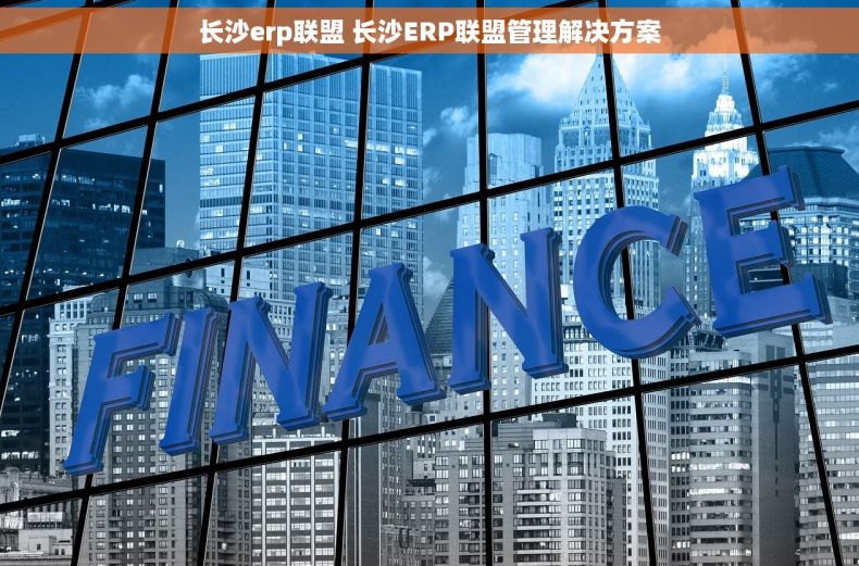 长沙erp联盟 长沙ERP联盟管理解决方案