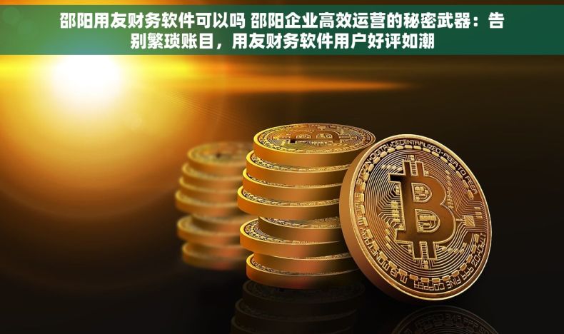 邵阳用友财务软件可以吗 邵阳企业高效运营的秘密武器：告别繁琐账目，用友财务软件用户好评如潮