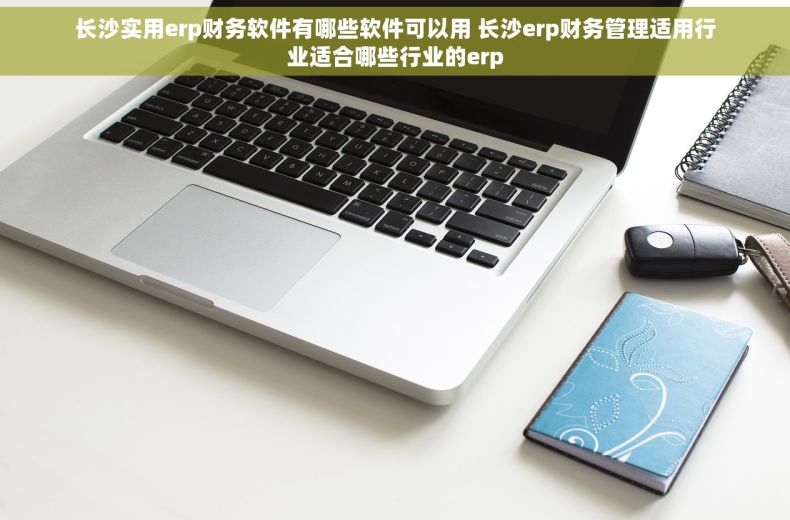 长沙实用erp财务软件有哪些软件可以用 长沙erp财务管理适用行业适合哪些行业的erp