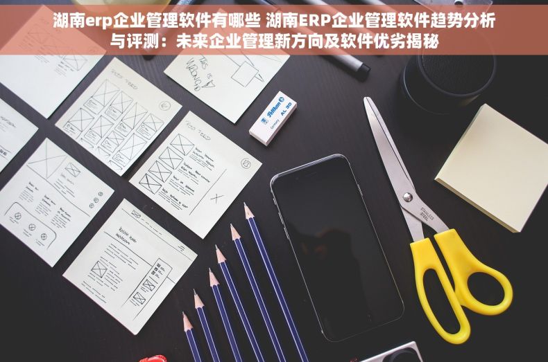 湖南erp企业管理软件有哪些 湖南ERP企业管理软件趋势分析与评测：未来企业管理新方向及软件优劣揭秘