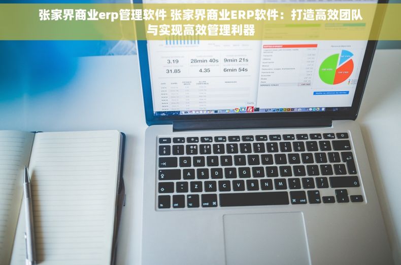 张家界商业erp管理软件 张家界商业ERP软件：打造高效团队与实现高效管理利器