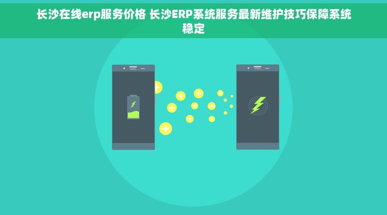 长沙在线erp服务价格 长沙ERP系统服务最新维护技巧保障系统稳定