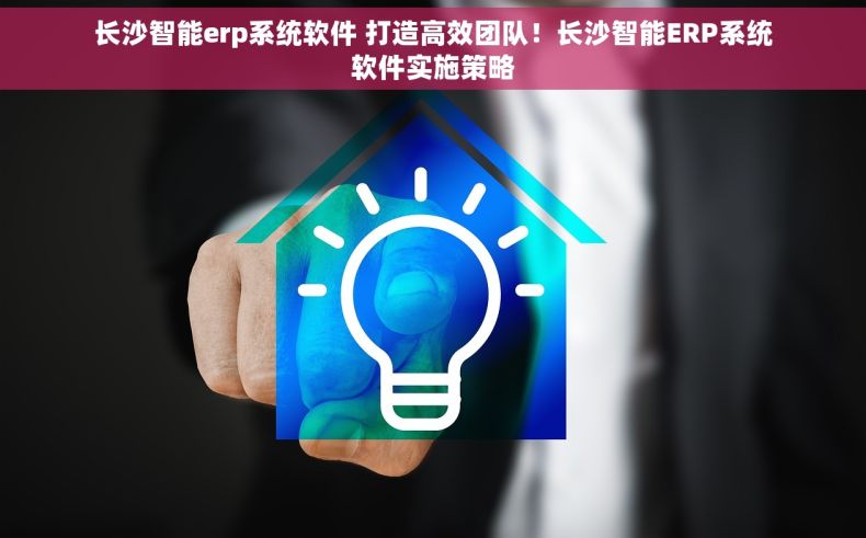 长沙智能erp系统软件 打造高效团队！长沙智能ERP系统软件实施策略