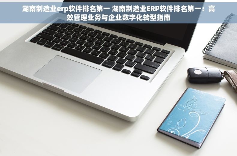 湖南制造业erp软件排名第一 湖南制造业ERP软件排名第一：高效管理业务与企业数字化转型指南