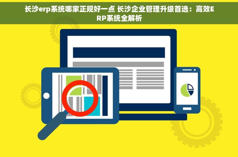 长沙erp系统哪家正规好一点 长沙企业管理升级首选：高效ERP系统全解析
