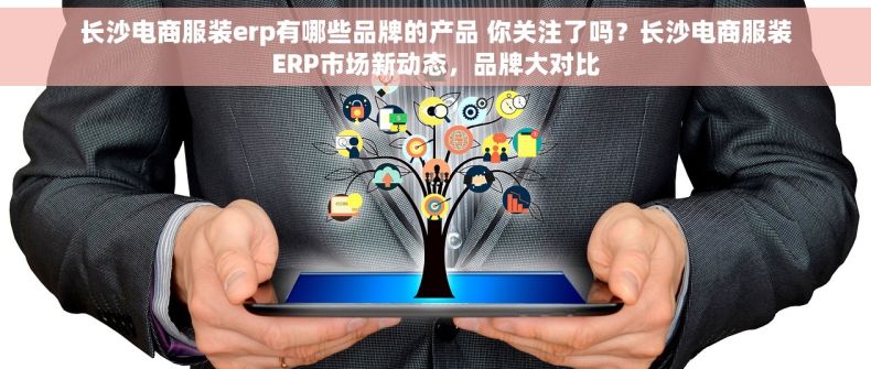 长沙电商服装erp有哪些品牌的产品 你关注了吗？长沙电商服装ERP市场新动态，品牌大对比