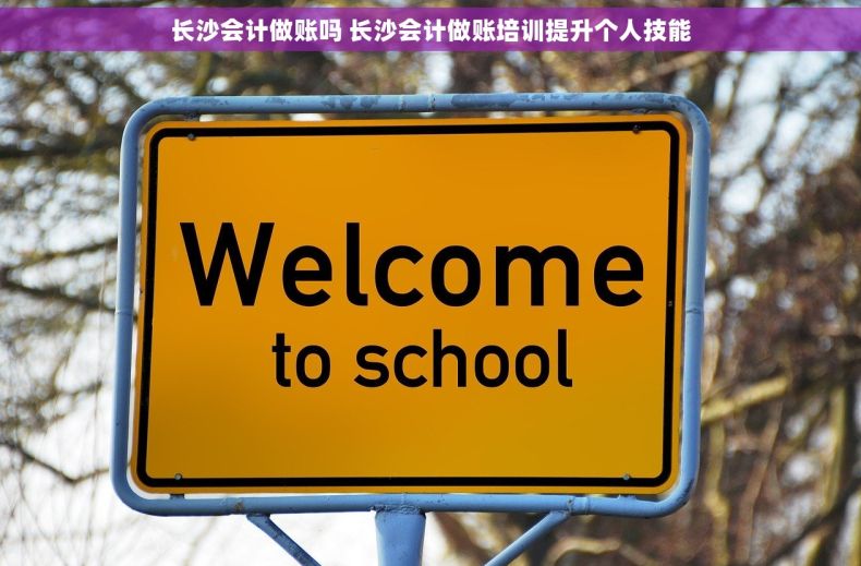长沙会计做账吗 长沙会计做账培训提升个人技能