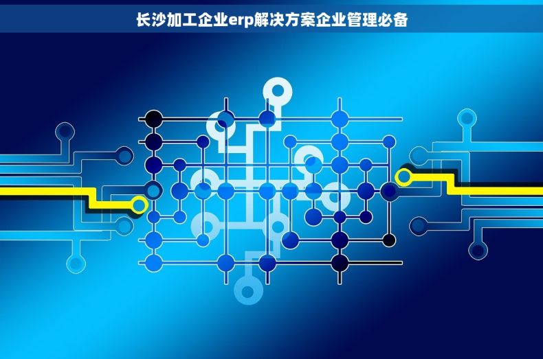 长沙加工企业erp解决方案企业管理必备