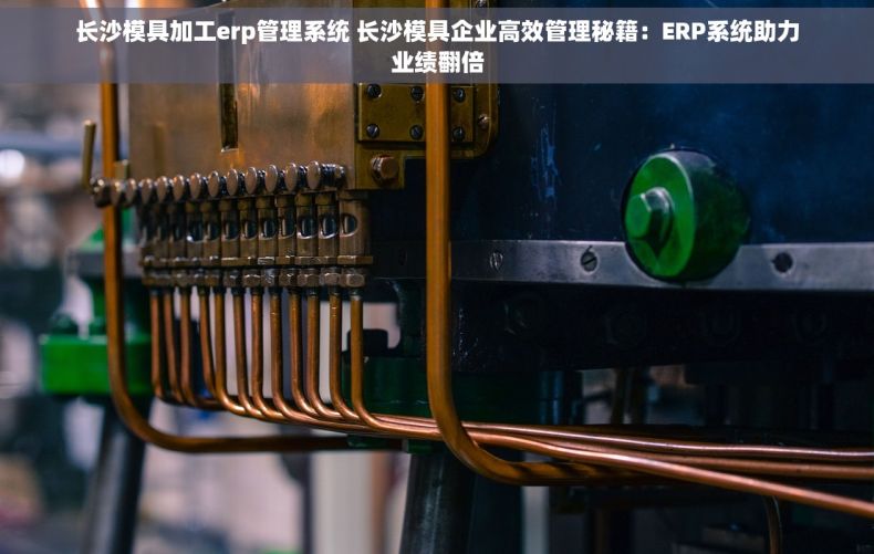长沙模具加工erp管理系统 长沙模具企业高效管理秘籍：ERP系统助力业绩翻倍