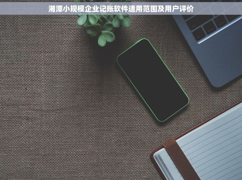 湘潭小规模企业记账软件适用范围及用户评价