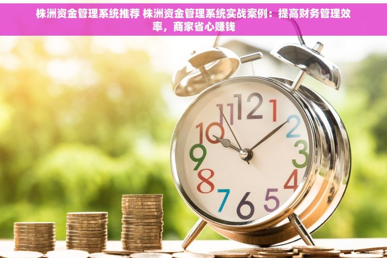 株洲资金管理系统推荐 株洲资金管理系统实战案例：提高财务管理效率，商家省心赚钱