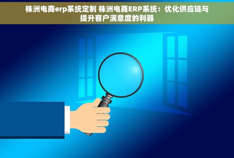 株洲电商erp系统定制 株洲电商ERP系统：优化供应链与提升客户满意度的利器