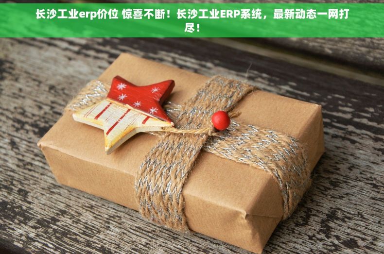 长沙工业erp价位 惊喜不断！长沙工业ERP系统，最新动态一网打尽！