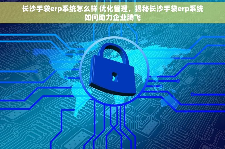 长沙手袋erp系统怎么样 优化管理，揭秘长沙手袋erp系统如何助力企业腾飞