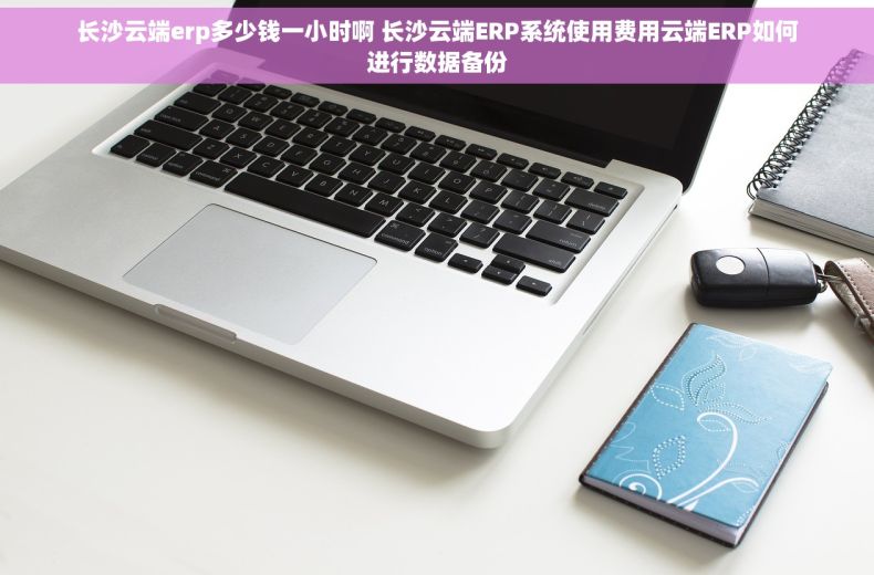 长沙云端erp多少钱一小时啊 长沙云端ERP系统使用费用云端ERP如何进行数据备份