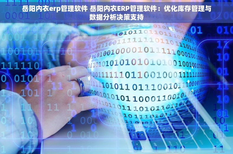 岳阳内衣erp管理软件 岳阳内衣ERP管理软件：优化库存管理与数据分析决策支持